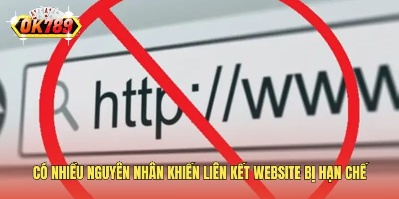 Có nhiều nguyên nhân khiến liên kết website bị hạn chế